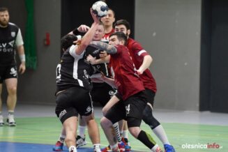 spr-olesnica-lider-swarzedz-DSC_9145