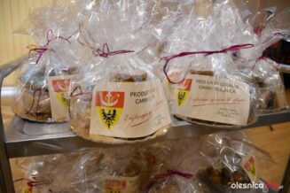 narada-soltysow-DSC_9883