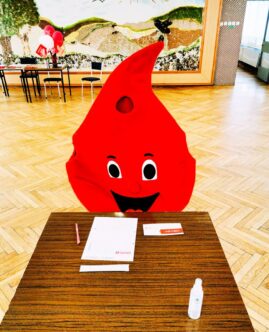 zszIMG_20230323_085422_edit_508840523250999