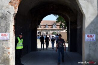 palac-w-goszczu-DSC_3132