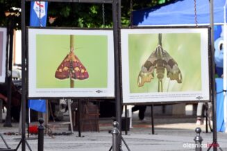 dni-olesnicy-2023DSC_3639