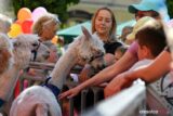 dzien-dziecka-olesnicaDSC_3550