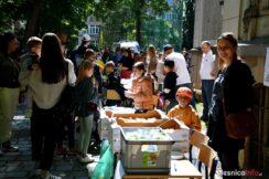 festyn-sp7-olesnicaDSC_3734