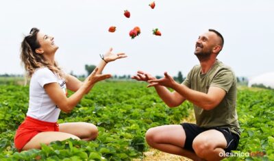 Szczyt sezonu na truskawki. Plantatorzy z Jenkowic zachęcają: kupujmy owoce u lokalnych producentów