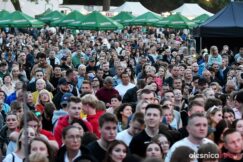 wilki-olesnicaDSC_4146