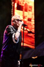 wilki-olesnicaDSC_4171