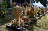 dożynki-gmina-bierutówDSC_7789