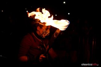 ofca-fireshowDSC_7170