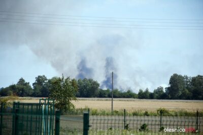 Ogromny pożar na polu. Dym widać z kilku kilometrów