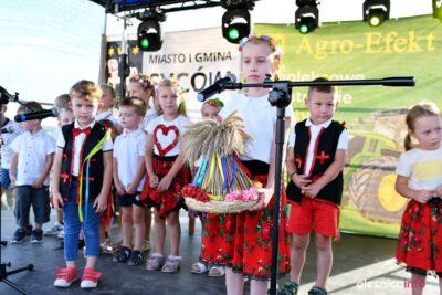 Dożynki gminy Syców w Stradomi Wierzchniej [ZDJĘCIA]