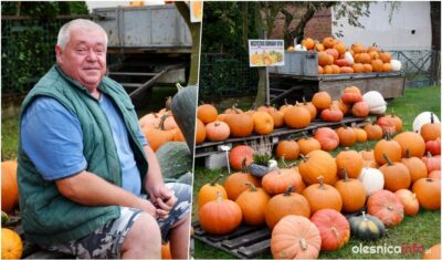 Wszystkie gatunki dyni w Ligocie Małej. Jesienne, kolorowe stoiska kuszą klientów [ZDJĘCIA]