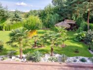 egzotyczny-ogród371453432_2003378813369187_6024917761997127601_n