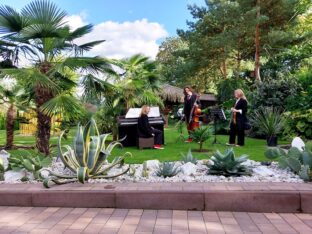 egzotyczny-ogród386732503_2024282641278804_3507103009368013592_n