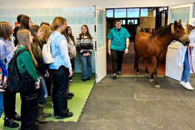 Licealiści z wizytą na wrocławskiej weterynarii