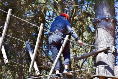 Kolejne głosy w sprawie parku  linowego. Czy wynik konsultacji będzie wiążący?