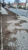 Trzeba uprzątnąć zgniłe liście z chodnika