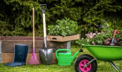 Od chaosu do harmonii – proste triki na utrzymanie ładu wśród przydomowych gadżetów