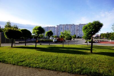 Burzliwa dyskusja o zieleni na placu Zwycięstwa. Głosy czytelników po wczorajszym artykule