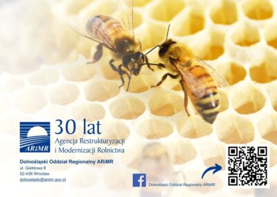 Wsparcie polskiego pszczelarstwa. Inwestycje, rozwój, nauka