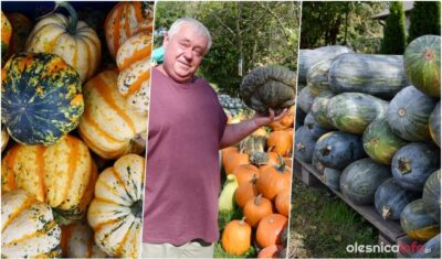 Odkrywamy uroki królowej jesieni. Oto dynia made in Ligota Mała [ZDJĘCIA]