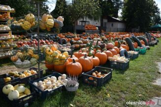 dynie-ligota-mala-DSC_4526