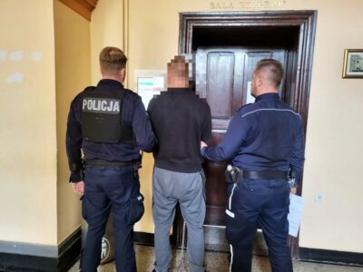Ponad 30 kilogramów narkotyków schowali w kartonach i walizkach