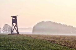 sarny462562798_1201120890957935_3194859504189045489_n