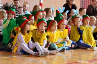 szkoła-podstawowa-gminy-oleśnicaDSC_5210