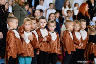 szkoła-podstawowa-gminy-oleśnicaDSC_5222