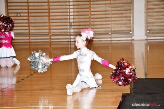 dzień-działacza-kulturyDSC_7825