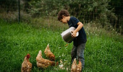 Czym sugerować się przy wyborze witamin i suplementów dla zwierząt?