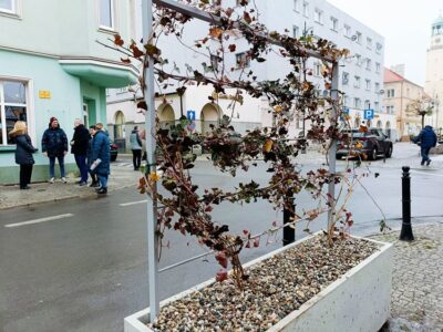 Zielona czy betonowa? Mieszkańcy sceptycznie ocenili realizację zazielenienia ul. 3 Maja