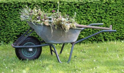 Wynajem maszyn i urządzeń ogrodniczych – poznaj ofertę Komplex