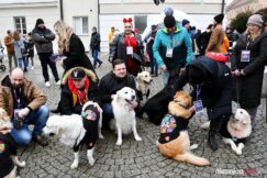 wosp-olesnica-2025DSC_9054