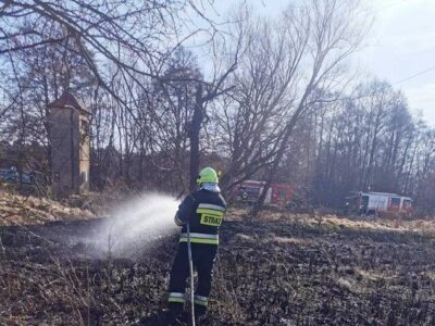 Paliła się trawa. Przez silny wiatr pożarem był zagrożony pobliski las