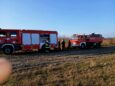 Strażacy walczyli z pożarem trawy w Międzyborzu