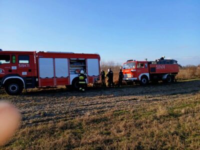 Strażacy walczyli z pożarem trawy w Międzyborzu