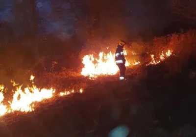 Strażacy znów interweniowali przy pożarze trawy