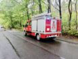 Konar spadł na drogę. Interweniowali strażacy