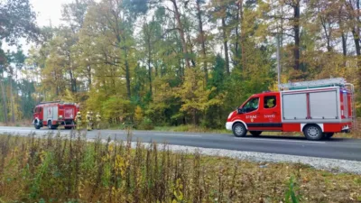 Powalony konar drzewa zerwał linię energetyczną