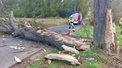 Silny wiatr powalił konar drzewa w Krzeczynie