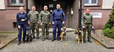Wspólne szkolenie psów służbowych Żandarmerii Wojskowej i policji