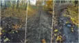 Czytelniczka: sprzątanie liści w parku zakończyło się zniszczeniami