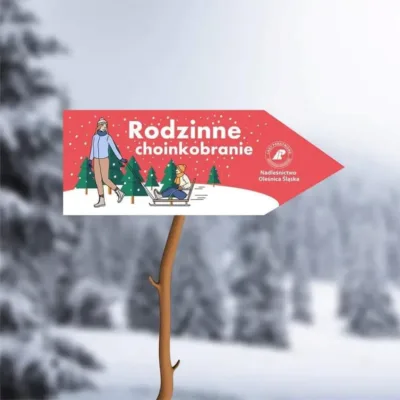 Leśne rodzinne choinkobranie w Dobroszycach. Magiczne spotkanie przed świętami