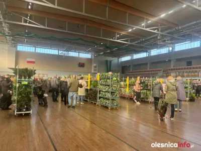 W oleśnickiej hali sportowej trwa Festiwal Roślin [ZDJĘCIA]