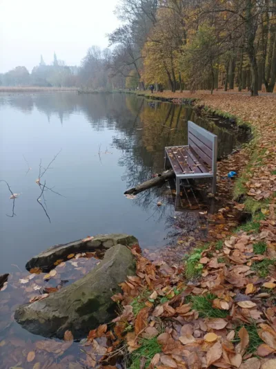 Kolejna ławka „ląduje” w stawie przy ulicy Kruczej