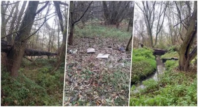 Petycja w sprawie utworzenia nowego parku trafiła do oleśnickiego ratusza