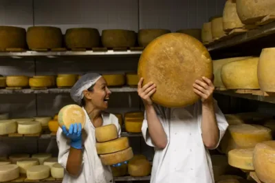 Ser łąkowy z Sernicy Dolnośląskiej triumfuje w światowym konkursie