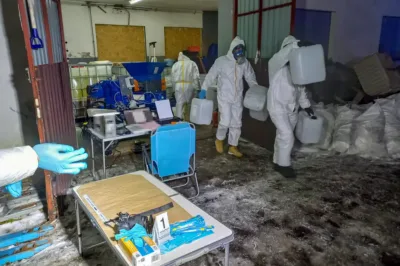 Pół tony narkotyków w Osadzie Leśnej. Kulisy akcji CBŚP i Prokuratury Krajowej