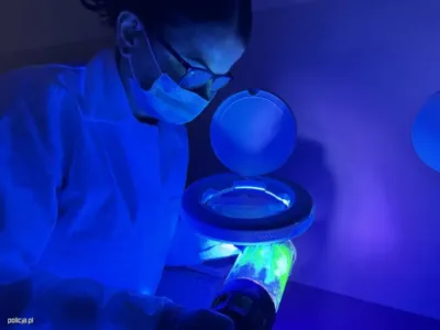 Kod, który zdradza sprawcę. Kulisy pracy policyjnych genetyków i Archiwum X